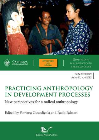 Practicing Anthropology in Development Processes